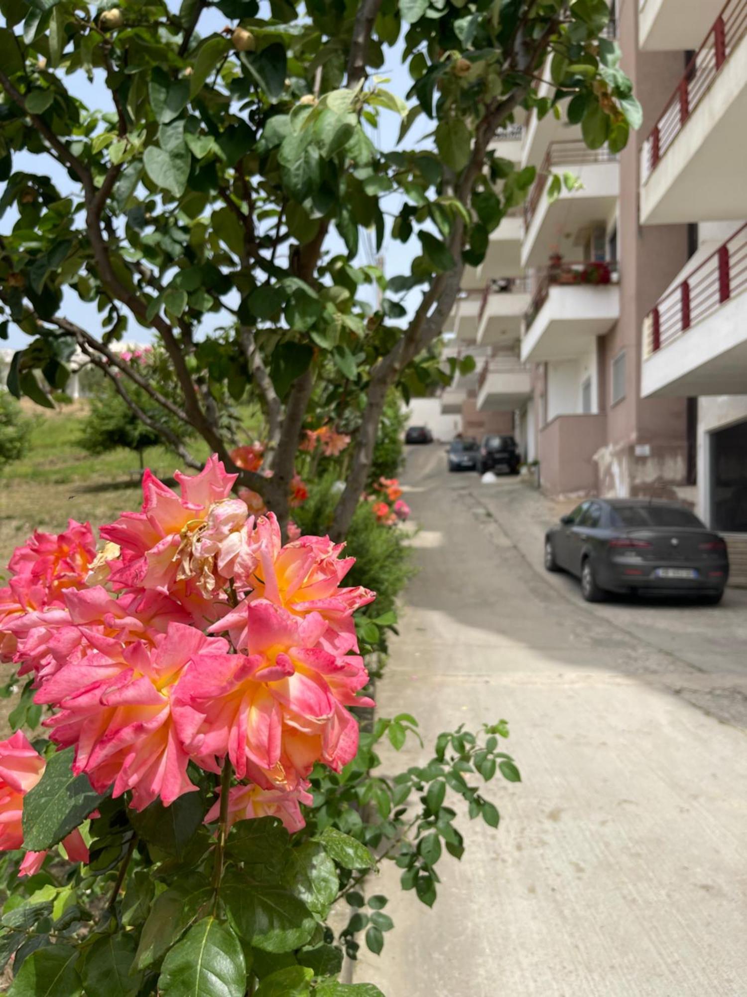 Beach Apartments Δυρράχιο Εξωτερικό φωτογραφία